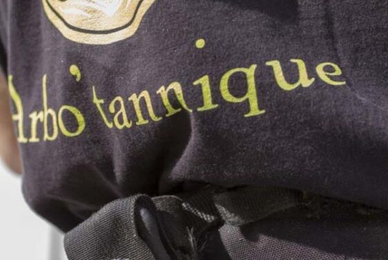 Conseils 11 - Elagueur Nîmes et Lunel