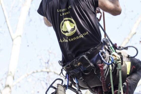 Conseils 10 - Elagueur Nîmes et Lunel