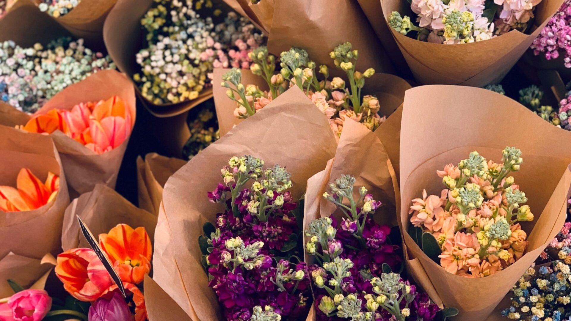 fleurs arbo'tannique - elagueur Nîmes