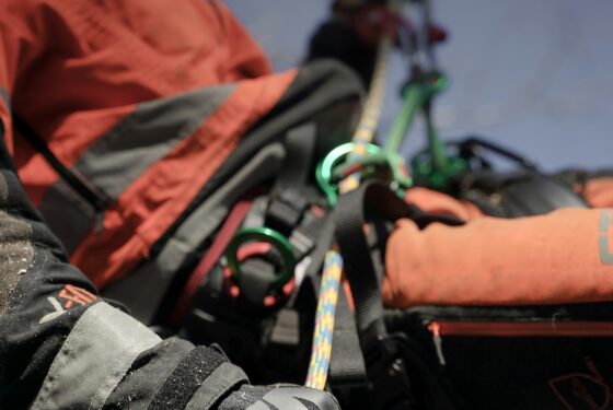 Photo accueil - Elagueur Gard