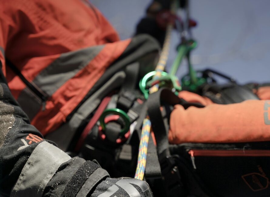 Photo accueil - Elagueur Gard