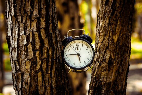 Reveil - Elagueur Gard