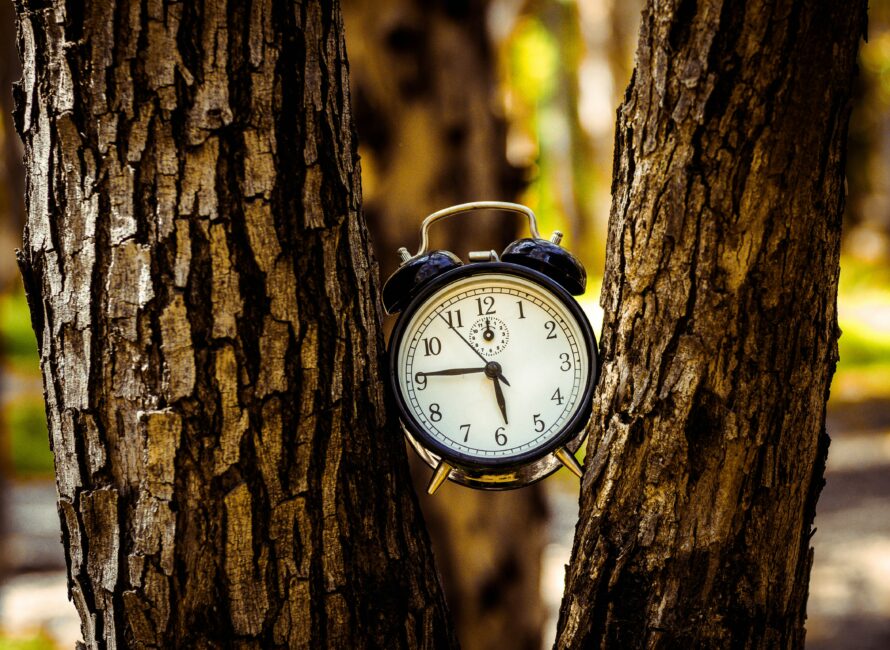 Reveil - Elagueur Gard