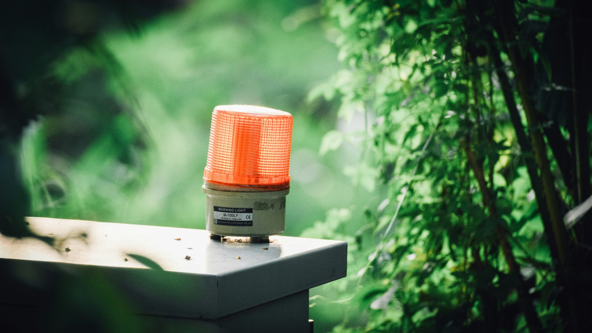 Votre élagueur dans l'Hérault face aux imprévus